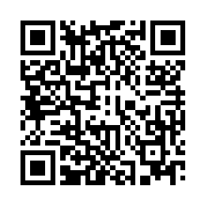 少年清越的嗓音呈现出一种无机质的空洞感二维码生成