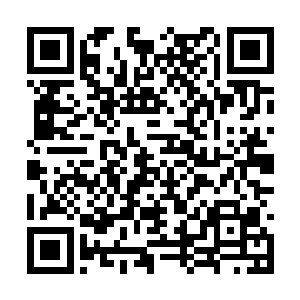 少年清醒过来之后的第一件事就是警告自己的祖父二维码生成