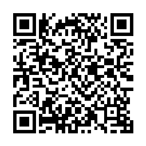 少年的心里总会幻想有朝一日驾驶机甲在虫群中大杀四方二维码生成