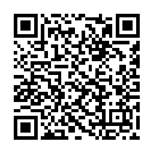 少年看着长发披肩的少年身上散发出的可怕的杀手二维码生成