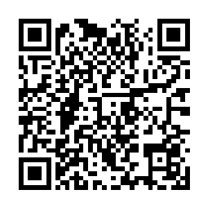 少年秃鹫李耀要么承受不住神魂武器的第一次考验二维码生成