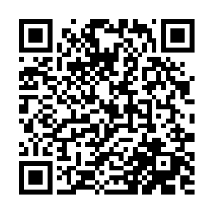 少年笑吟吟的指着陈大虾身上并不怎么合体的链甲道二维码生成