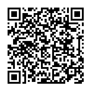 少年见平日里对他十分和善的邻里街坊此时都用异样的目光看着自己二维码生成