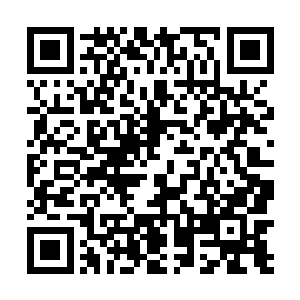 少弄一点儿这东西又不会跑还不是在咱们自家的岛上么二维码生成