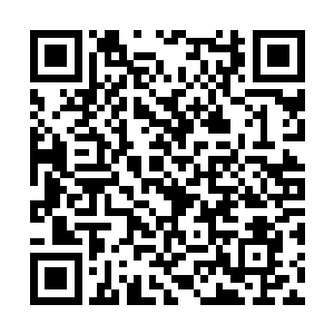 少见正经了的黄老怪望着辩道峰前连绵的大山出神二维码生成