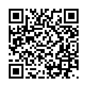 少许蔬菜……两盘早就炒好了的小菜二维码生成