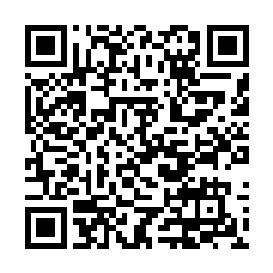 少部分是东方卫视台内部新闻频道和综艺频道的记者二维码生成