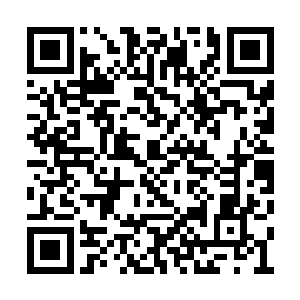 少部分的水族则投向了东南水域的大魔妖神麾下二维码生成