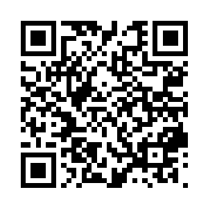 尖尖的下巴宛若倒立的三角般精巧优美二维码生成