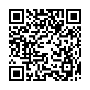 尖尖的下巴让这张脸庞看上去如此精致美丽二维码生成