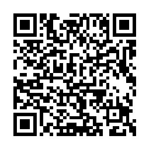 尖锐无比的刃口顿时在尸体上割出来了无数血口二维码生成