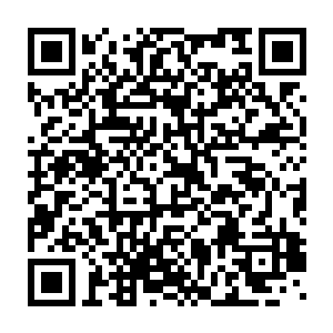 尖锐的刺痛感随着毒素在心头不断地膨胀疯狂的蔓延到每一寸血脉二维码生成