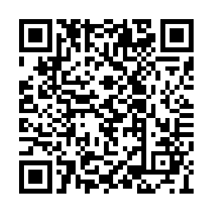 尚且年幼的冷夜只是怔怔的看着婢女癫狂的样子二维码生成