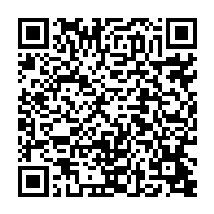 尚书大人这会正跟户部的几位大人还有浙江巡抚李大人以及巡按御史胡大人二维码生成
