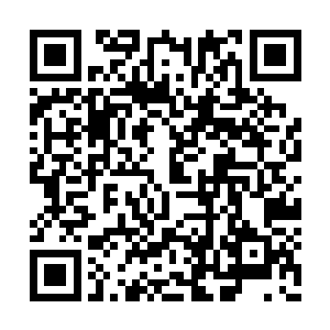 尚权智努力想要把内心深处的恐惧和愤怒压下去二维码生成