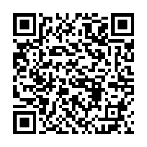 尝试着用储物戒内的尸骸去做高等纹身之术的刻骨生花二维码生成