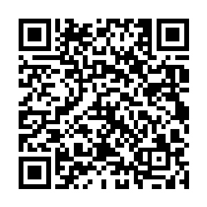 尤其五脉精英培养的仙人五莲中坚地仙和少量清醒真仙二维码生成