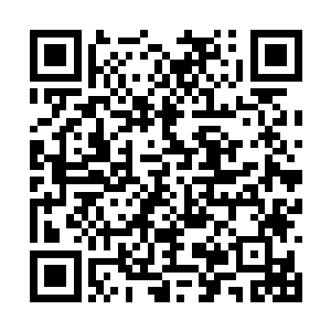 尤其他的天赋技能因为融合严原两人的血脉而变异二维码生成