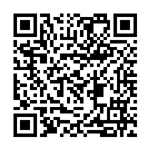 尤其刘一维和顾倩琳现在更是整个世界都公认的神医二维码生成