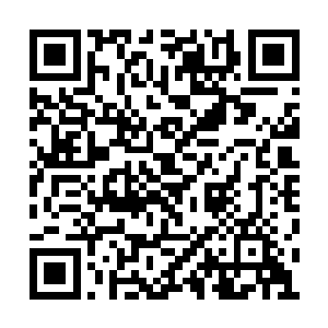 尤其刚刚他还使用真气在小米身体里检测了一圈二维码生成