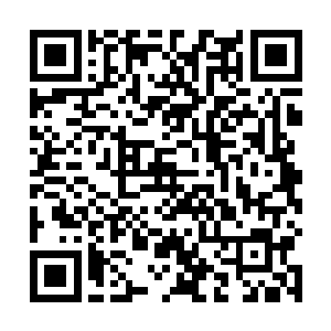 尤其在两只骨鸟一起示威地对他们喷出两个巨大火球后二维码生成