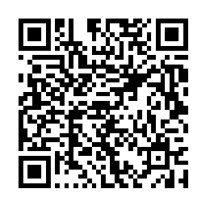 尤其在山猫小队的几个成员身边多停留了一段时间二维码生成