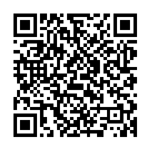 尤其在那股精神力发现试探它的精神力中含有让它害怕的力量二维码生成