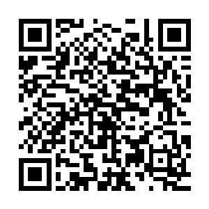 尤其当那下人一把鼻涕一把泪的说自己已经报出锦衣少年的名号二维码生成
