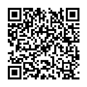 尤其当那只小手的主人还是自己心心念念的爱人时二维码生成