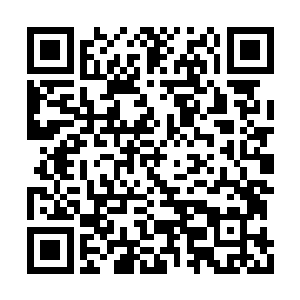 尤其是一想到现在自己怀里面捧着的二十万现金二维码生成