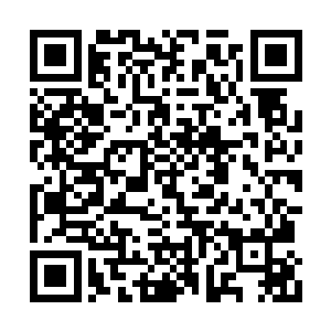 尤其是两次踏入云澜公子府邸恼怒只是为了主子二维码生成