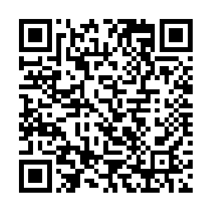 尤其是之前那两股能骇死人的惊人威能也全都消失了二维码生成