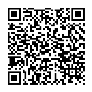 尤其是儒艮这样的大型生物隐藏在如此深的水底是很难被人发现的二维码生成