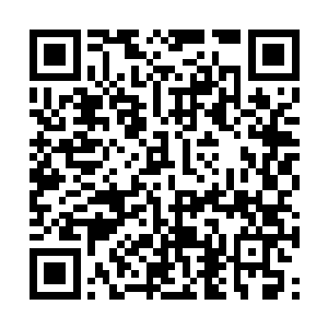 尤其是其中属于林烽的一张身份证复印件飘然而落二维码生成