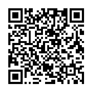 尤其是到了钻石以上的分段想要凭借一个瑞雯上分二维码生成