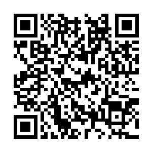 尤其是千手王淼猝不及防的攻击让乔一飞没有挡住二维码生成