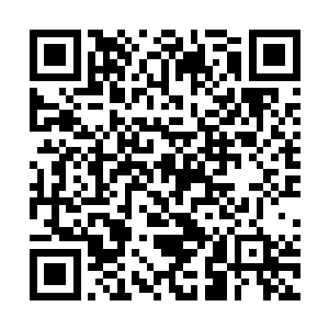 尤其是华夏电视台和hn卫视在去年秋天的收视大战二维码生成