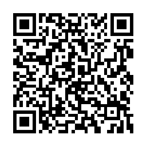 尤其是南龙帮这种在临海市只能排第三的小帮派二维码生成