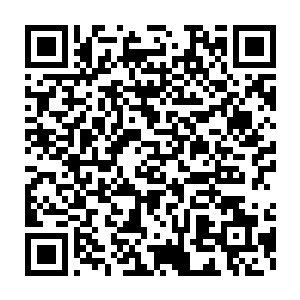 尤其是向文东对要求准备的资料详实到每个具体细节内容都要真实可靠二维码生成