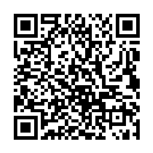 尤其是围绕在一名锋芒毕露青年四周的三十余名修士二维码生成