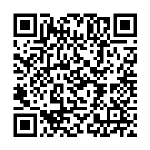 尤其是固定资产投资增速这就是一个最为关键的因素二维码生成