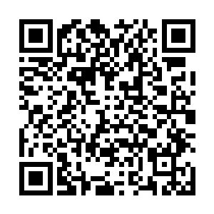 尤其是在他们才看到一名极为稀有的御宠仙人的情况下二维码生成
