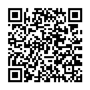 尤其是在她发现温晓茹还穿着昨天那套衣服之后……二维码生成