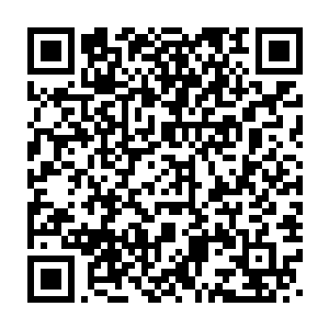 尤其是在张小凡猝不及防的情况下用自己的全力一击打在张小凡的二维码生成