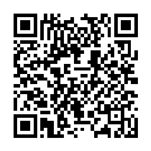 尤其是在看到流墨墨身上的血焰竟能顶开他的威压二维码生成