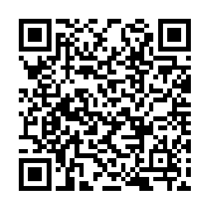 尤其是在节目已经连续录制了近五个小时的情况下二维码生成