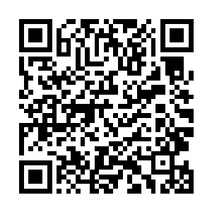 尤其是在西府谢存礼那日当众指出二小姐肖想丹女之位后二维码生成