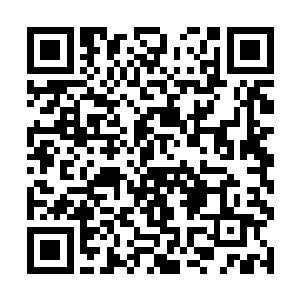 尤其是当他看到保镖的武器说明书上赫然列着火药弹二维码生成
