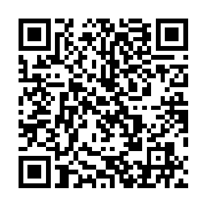 尤其是想到现在还在皇城里期盼着他能够救出白帝的落落二维码生成