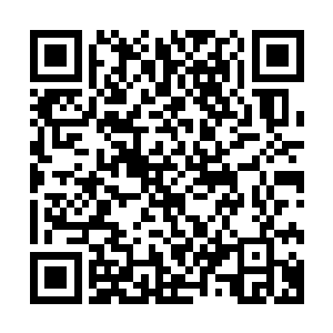 尤其是把南潭丘区的猕猴桃园的良好生态表现得相当淋漓尽致二维码生成